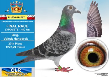 37. PL-034-18-767